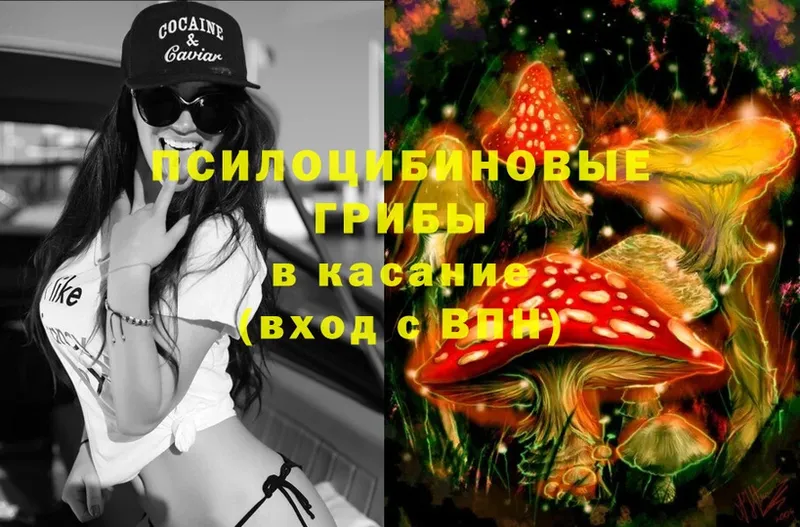 Галлюциногенные грибы GOLDEN TEACHER  Новоульяновск 